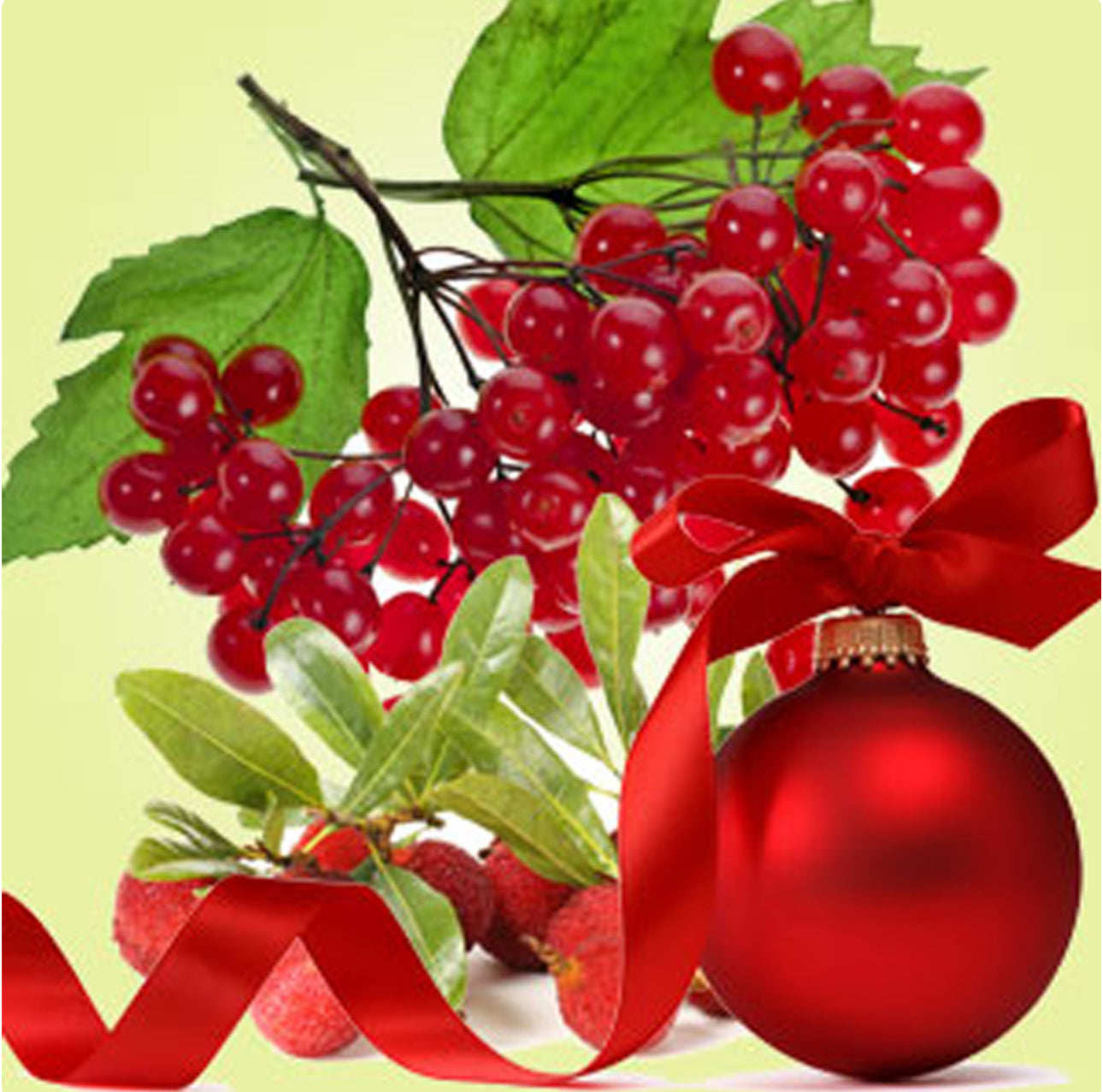 NG KringleBerry Fragrance Oil 1 oz