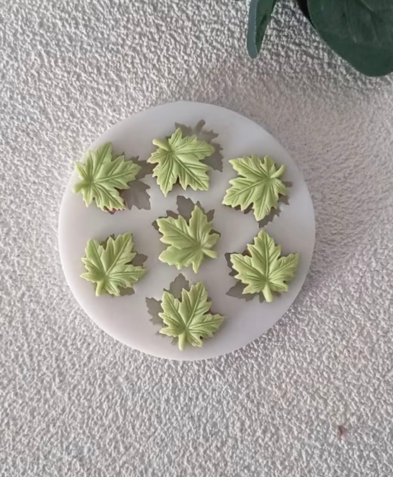 Maple Leaf Silicone Mold