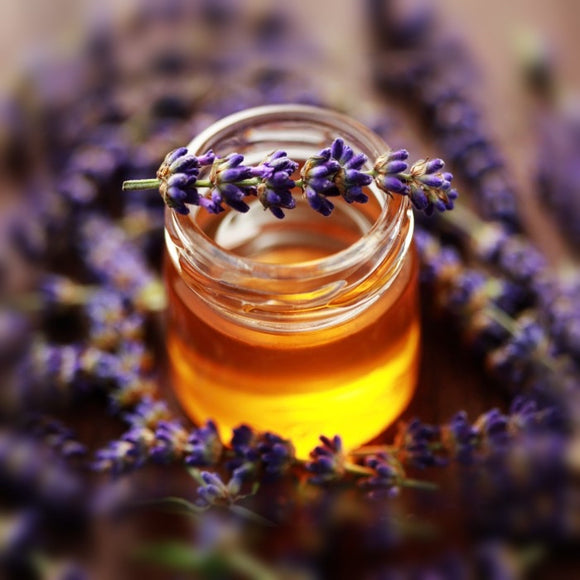 AZ French Lavender & Honey BBW Type Fragrance Oil 1 oz