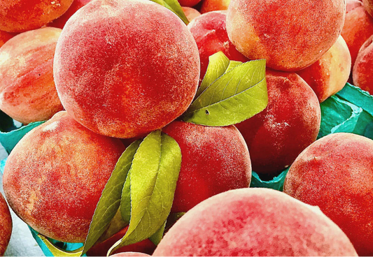 MW Georgia Peach Fragrance Oil 1 oz