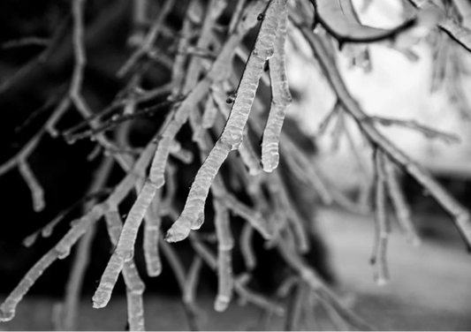 MW BLACK ICE TYPE FRAGRANCE OIL 1 OZ