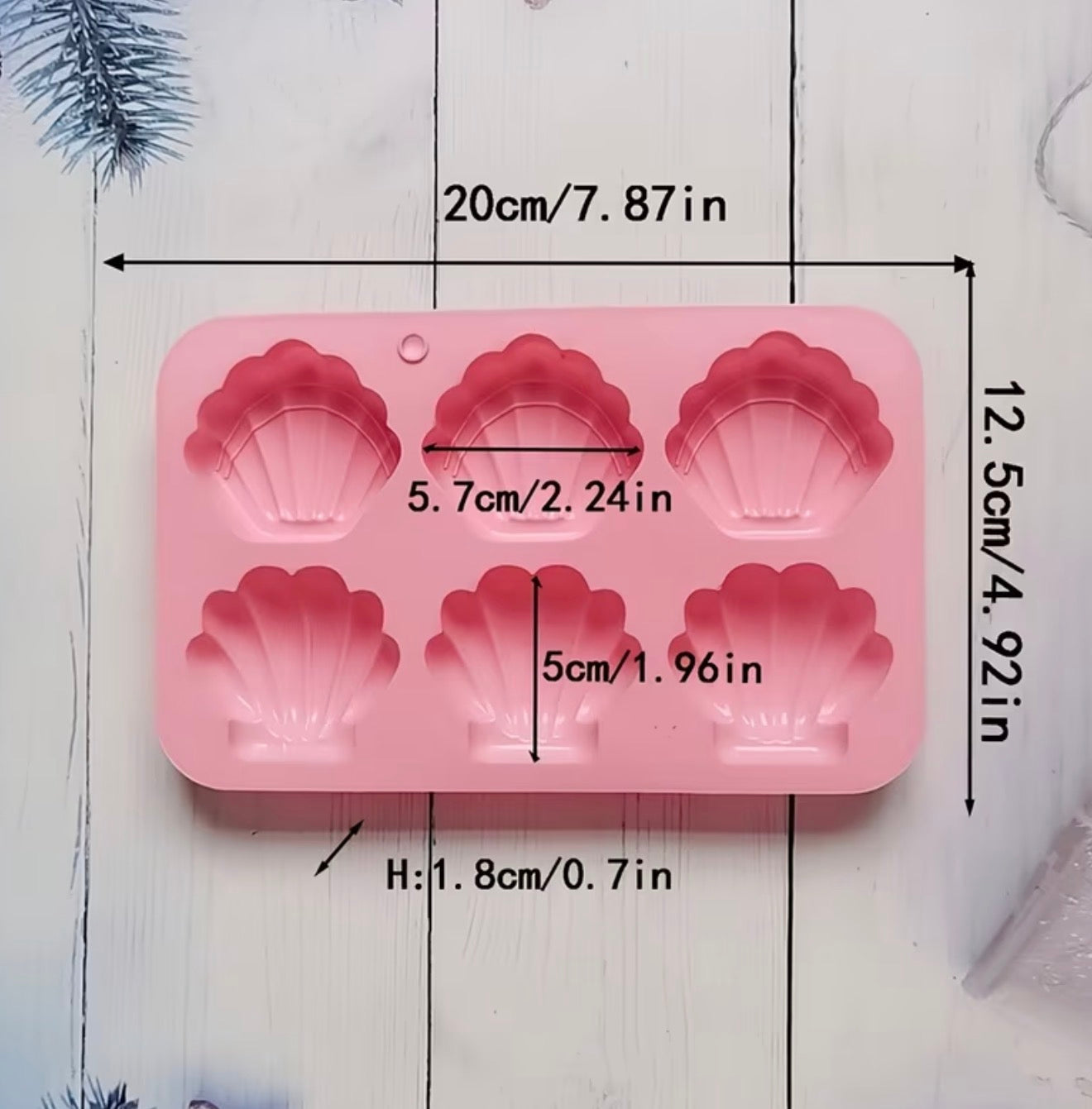 Sea Shell Silicone Mold