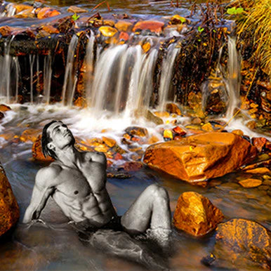 NG Amber Waters Fragrance Oil 1 oz