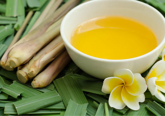 MW Citronella Fragrance Oil 1 oz