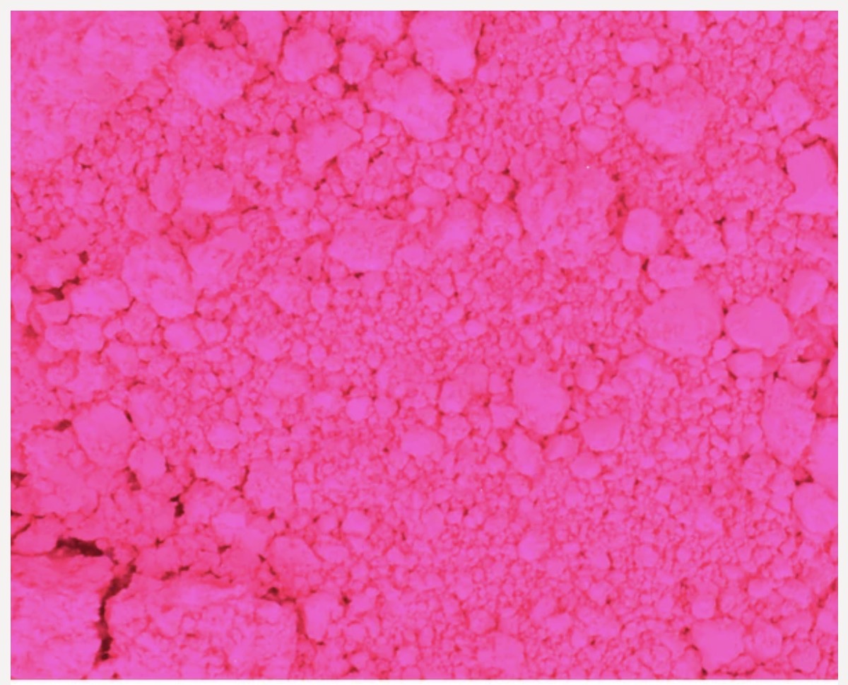 Neon Pink Hot Pants Powder 5g