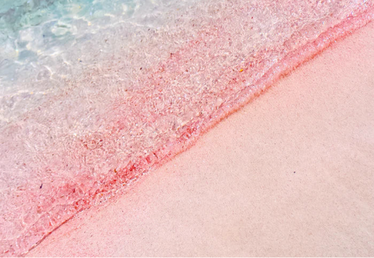 MW Pink Sands (type) Yankee Fragrance Oil 1 oz