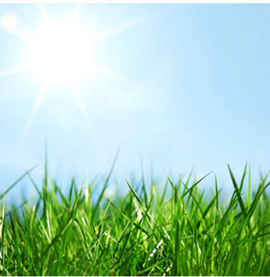 Fresh Cut Grass Fragrance oil 1 oz