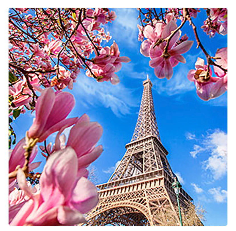 NG Paris le Fleur Fragrance Oil 1 oz