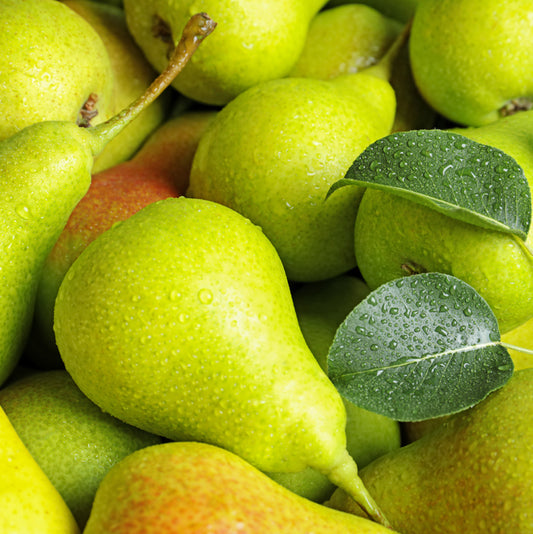 Fresh Pear Fragrance oil 1 oz