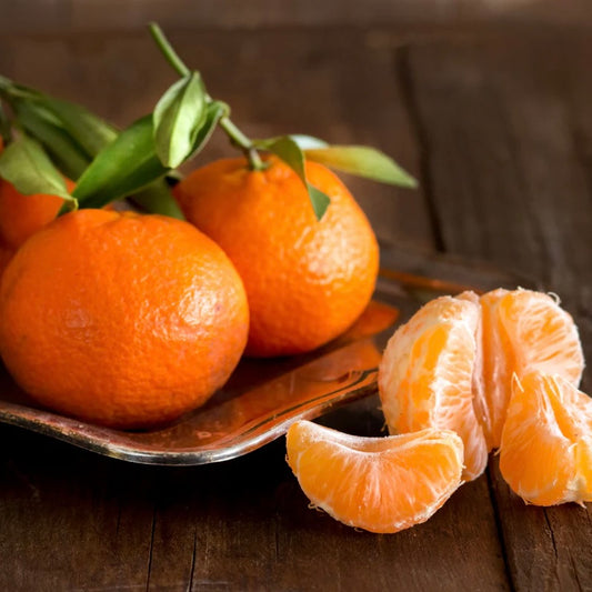 MW Tangerine Passion Fragrance Oil 1 oz