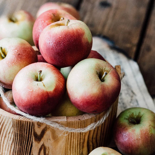 MW Macintosh Apple Fragrance Oil 1 oz