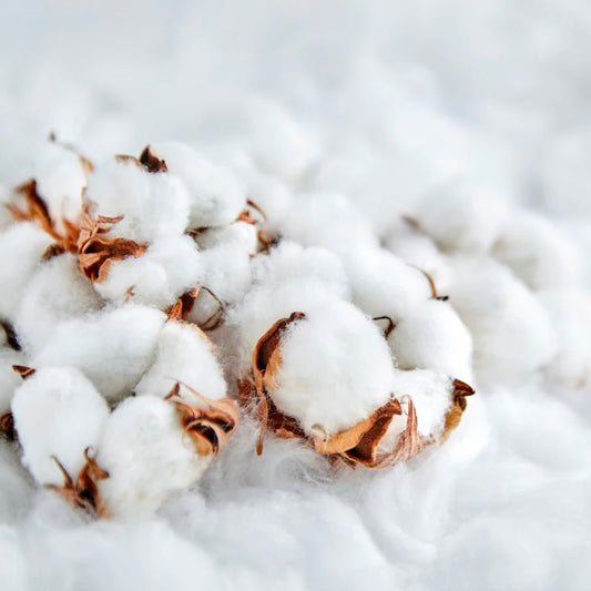 MW Clean Cotton Fragrance Oil 1 oz