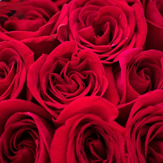 MW Rose Bouquet Fragrance oil 1 oz