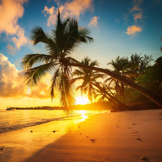 Tropical Sunset Fragrance Oil 1 oz