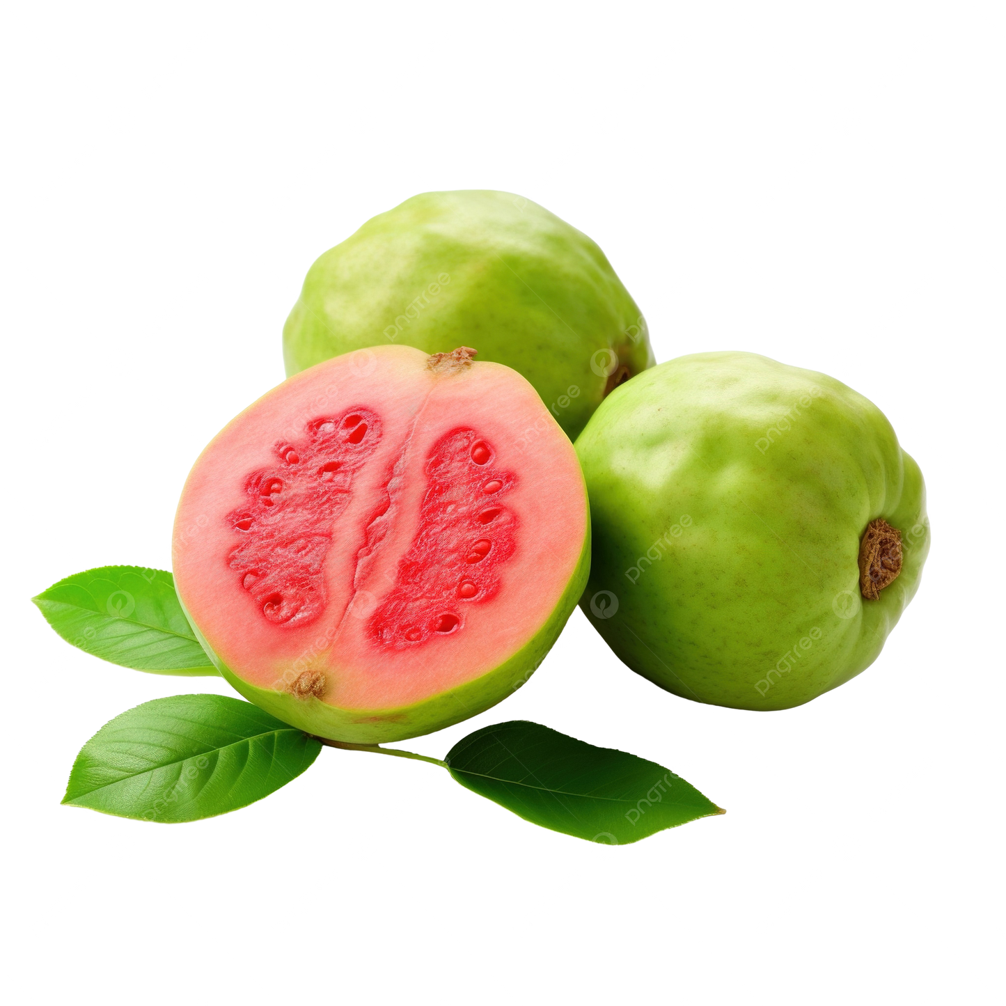 Guava Flavoring Oil 0.5 0z