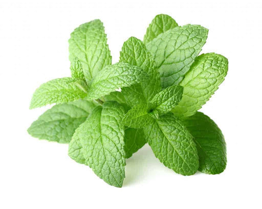 Peppermint Flavoring Oil 0.5 oz