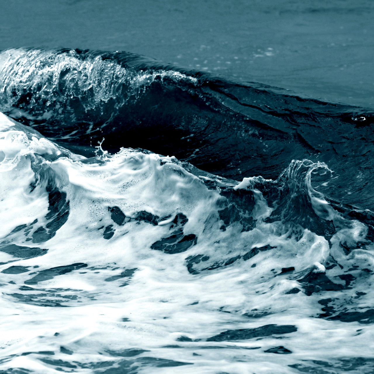 Az Aqua Horizon fragrance oil 1 oz