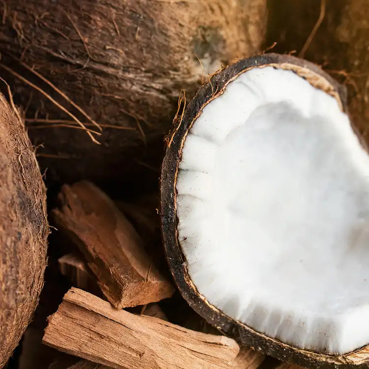 CS Santal and Coconut Fragrance Oil 1 oz
