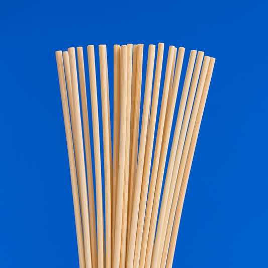 Rattan Reed Sticks 12” (20PCS)