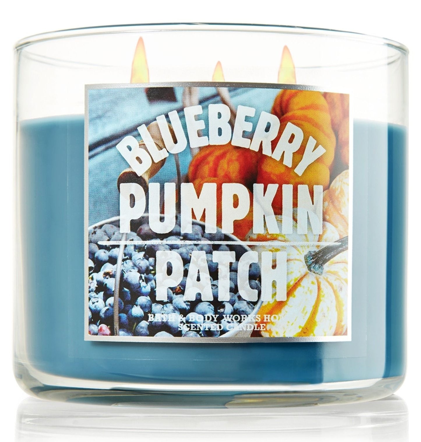 AZ Blueberry Pumpkin Patch (BBW) Type fragrance oil 1oz