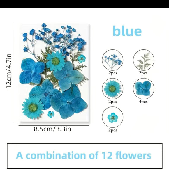 Dried Flower Blue
