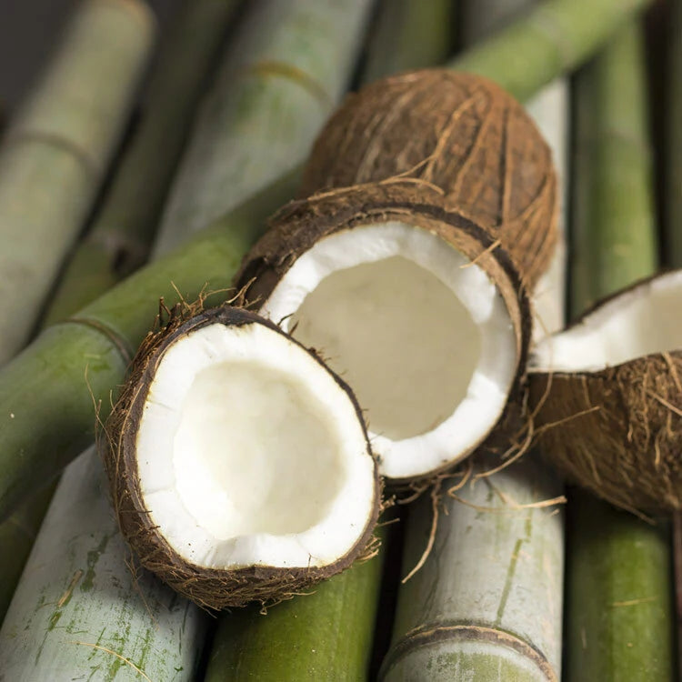CS Bamboo & Coconut Fragrance Oil 1 oz