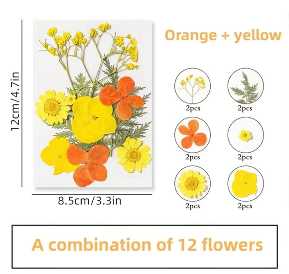 Dried Flower Orange Yellow