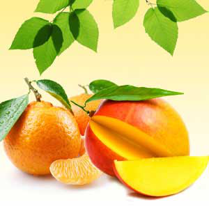 NG Mango & Tangerine Type Fragrance 1 oz