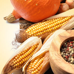 NG HARVEST (TYPE) FRAGRANCE OIL 1 oz