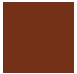Colorante marron liquido (Skin Safe)