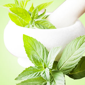 Menta fragancia en aceite 1 oz