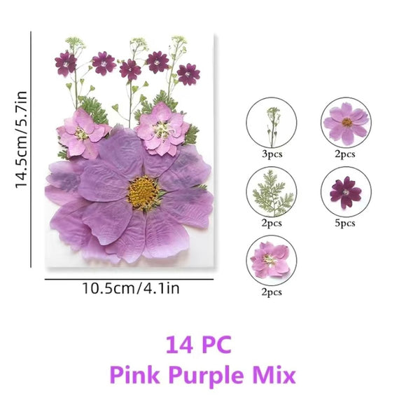 Dried Pink/Purple Flower