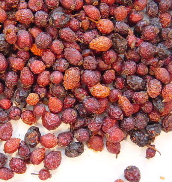 Organic Rose Hips Whole Dried 1 oz