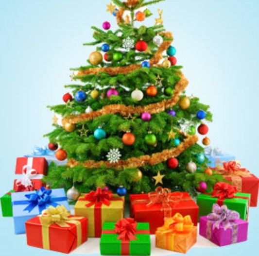 NG Christmas tree fragrance oil 1 oz