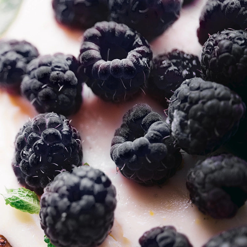 CS Black Raspberry Vanilla (Type BBW )Fragrance Oil 1 oz