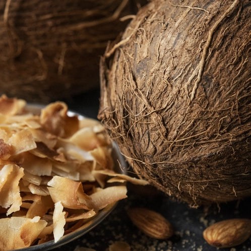 CS Toasted Coconut Fragrance Oil 1 oz