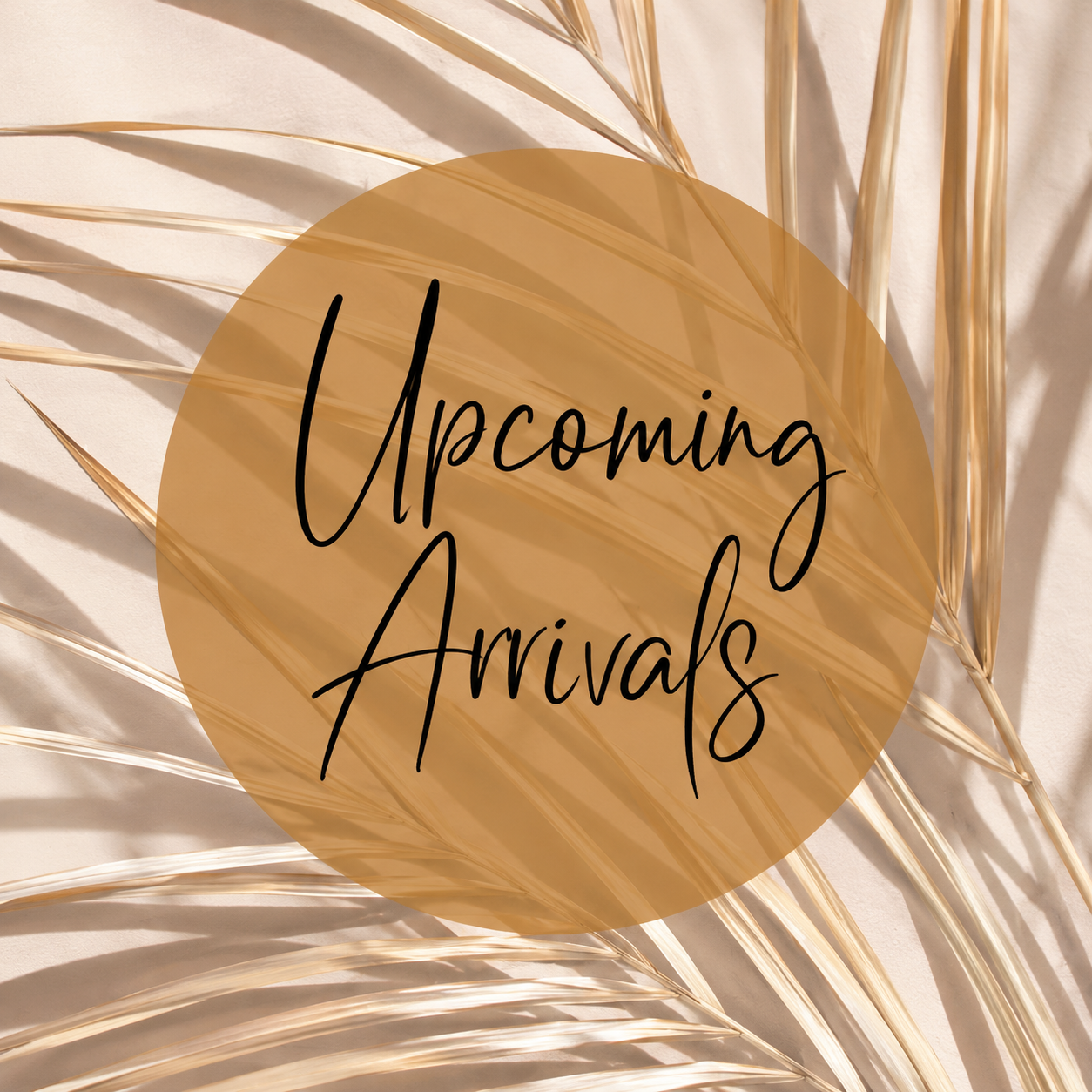 Upcoming Arrivals