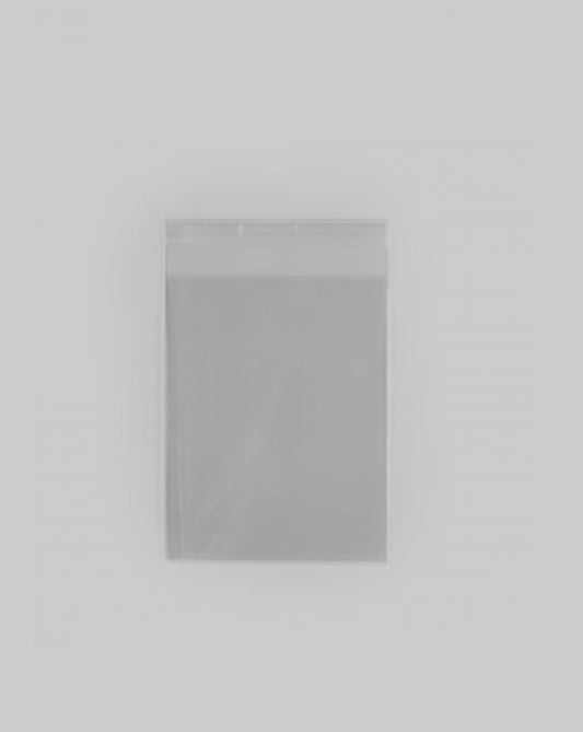 40 PCS 6x8in Opp Bag