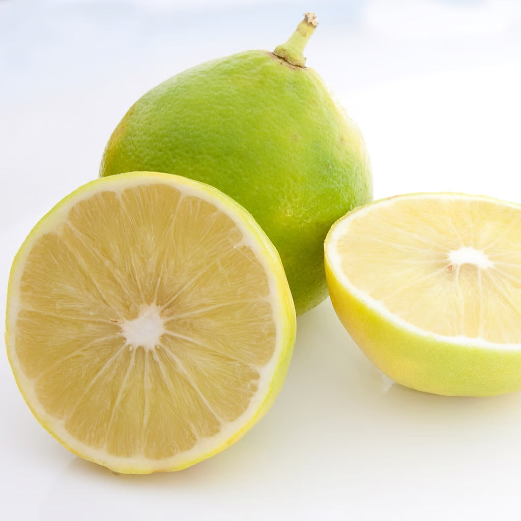 Bergamot (EO & FO) Blend 0.5 oz