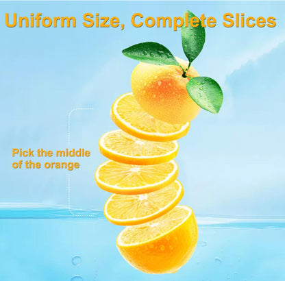 Dried Orange Slices (6 Slices)