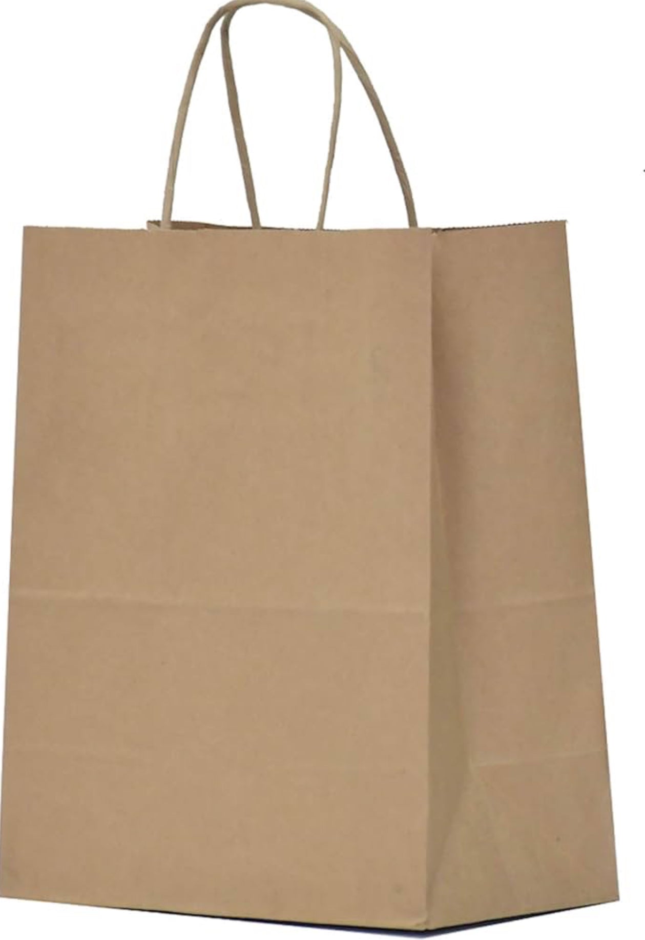 Kraft Paper Bag 10”x5”x13” (10 PCS)