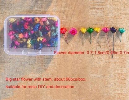 Mini Mixed flowers (for epoxy resin jewelry)