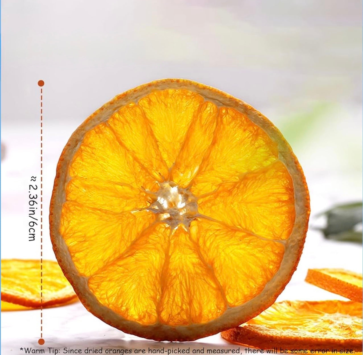 Dried Orange Slices (6 Slices)