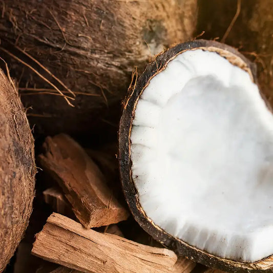 CS Santal and Coconut Fragrance Oil 1 oz