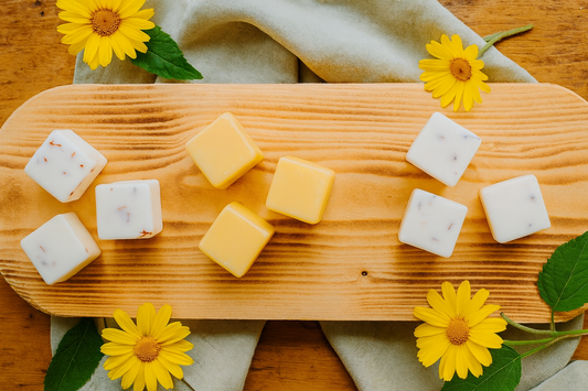 Kit para Wax Melts (Edicion Summer Fun)
