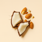 Almond Coconut Fragrance Oil 1 oz