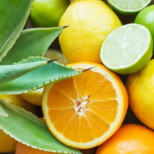 CS Citrus Agave Fragrance Oil 1 oz