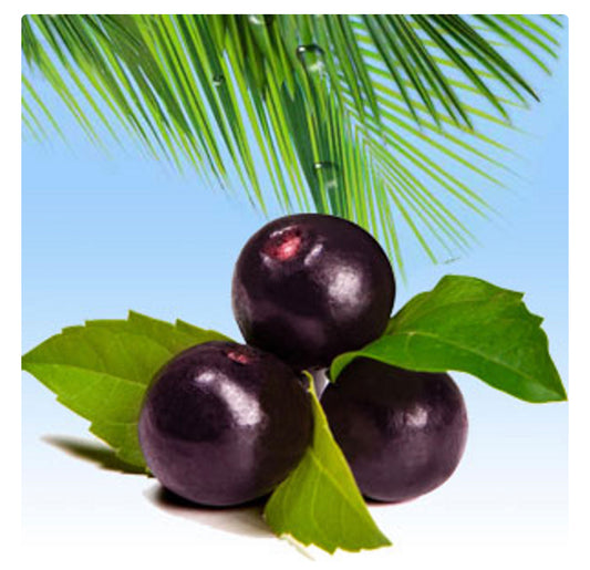 NG Acai Berry Fragrance oil 1 oz