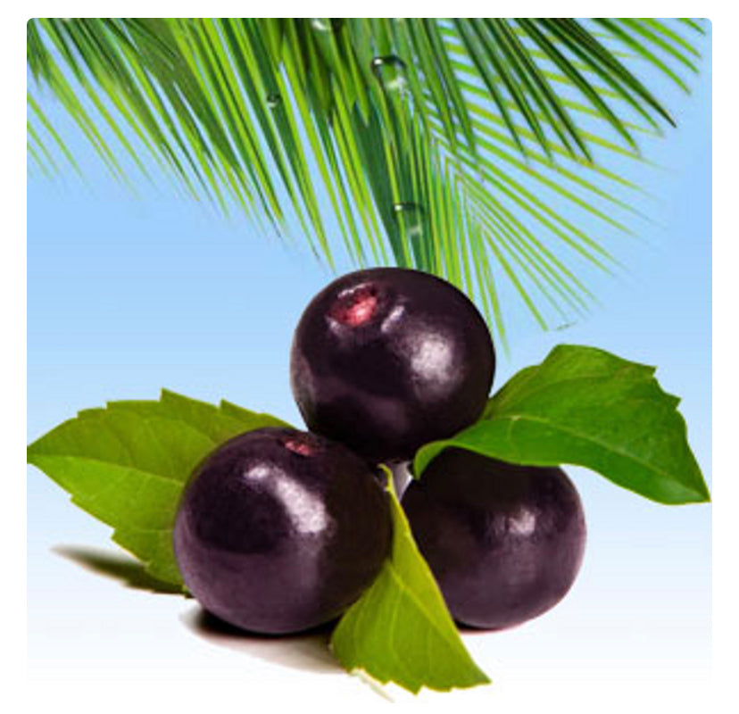 NG Acai Berry Fragrance oil