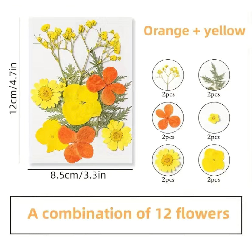 Dried Flower Orange Yellow